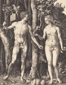 Adam und Eva, 1504 von Albrecht Dürer