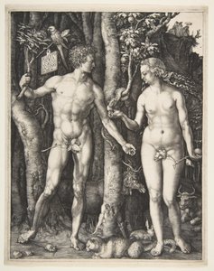 Adam und Eva von Albrecht Dürer
