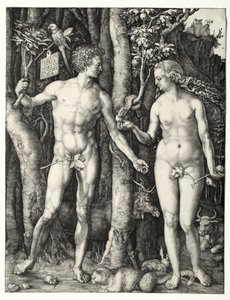 Adam und Eva, 1504 von Albrecht Dürer