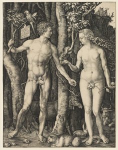 Adam und Eva, 1504 von Albrecht Dürer