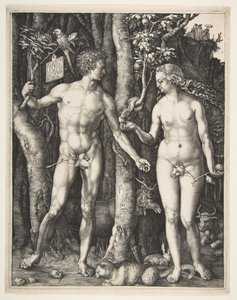 Adam und Eva, 1504 von Albrecht Dürer