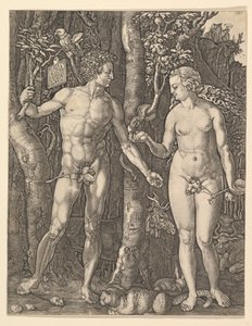 Adam und Eva, 1566 von Albrecht Dürer
