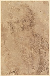  von Albrecht Dürer