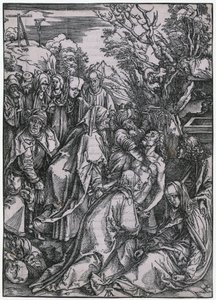 von Albrecht Dürer