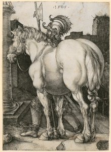  von Albrecht Dürer