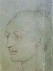 Kopf einer jungen Frau von Albrecht Dürer