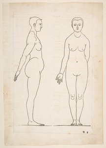 Illustration aus Dürers Vier Bücher von menschlicher Proportion, Nürnberg, 1528 von Albrecht Dürer