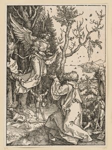  von Albrecht Dürer