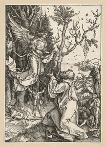 Joachim und der Engel (Marienleben) von Albrecht Dürer