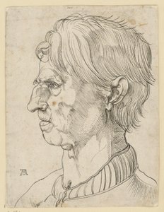 Kopf eines älteren bartlosen Mannes, im Profil nach links von Albrecht Dürer