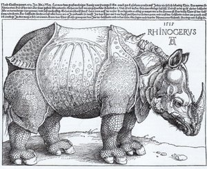 Das Nashorn von Albrecht Dürer