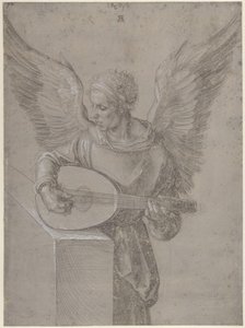  von Albrecht Dürer