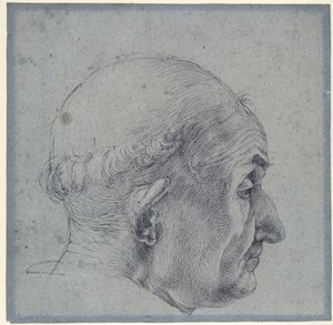Männlicher Kopf im Profil von Albrecht Dürer