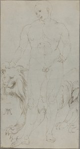 Männlicher Akt mit einem Löwen [verso] von Albrecht Dürer