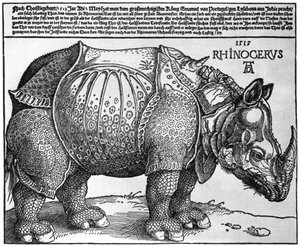 Nashorn, Druck an Maximilian I. vom König von Lissabon, 1515, 1936 von Albrecht Dürer