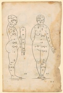 Seiten- und Vorderansicht der Frau von 7 Kopflängen (Typ AI), Arm in Seitenansicht, aus "Die Proportionenlehre" von Albrecht Dürer