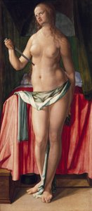  von Albrecht Dürer