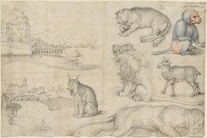 Skizzen von Tieren und Landschaften, 1521 von Albrecht Dürer