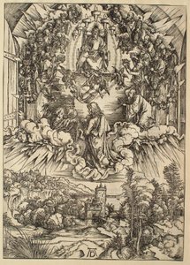  von Albrecht Dürer