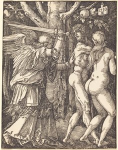  von Albrecht Dürer