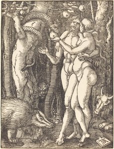 Der Sündenfall von Albrecht Dürer