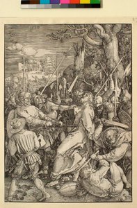  von Albrecht Dürer
