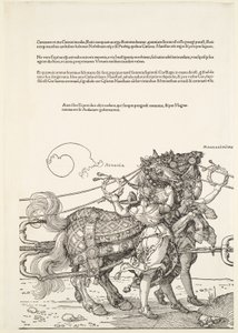  von Albrecht Dürer