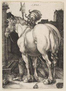  von Albrecht Dürer