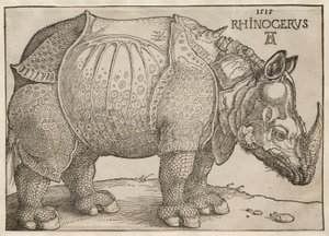 Das Nashorn von Albrecht Dürer