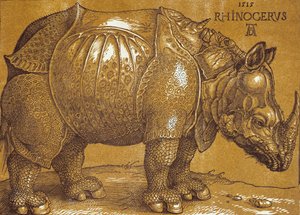 Das Nashorn, 1515 von Albrecht Dürer