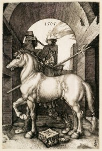 Das kleine Pferd von Albrecht Dürer