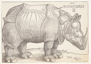 Das Nashorn von Albrecht Dürer