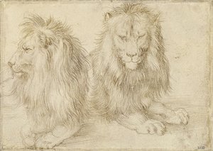Zwei sitzende Löwen, 1521 von Albrecht Dürer