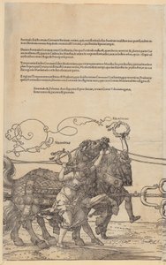  von Albrecht Dürer