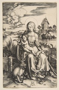  von Albrecht Dürer
