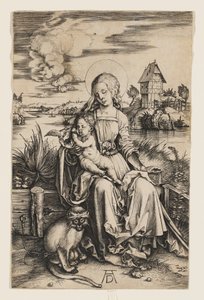 Jungfrau und Kind mit dem Affen von Albrecht Dürer