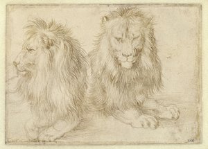 Zwei liegende Löwen von Albrecht Dürer