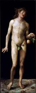 Adam