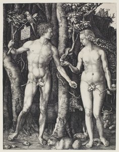 Adam und Eva von Albrecht Dürer
