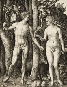 Adam und Eva von Albrecht Dürer