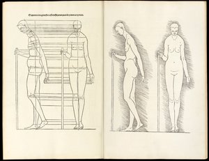 Frau mit Stab, anatomischer Holzschnitt aus Hierinn sind begriffen vier Bücher von menschlicher Proportion, 1528 von Albrecht Dürer