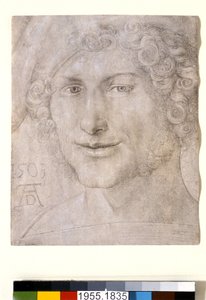 Kopf eines jungen Mannes von Albrecht Dürer