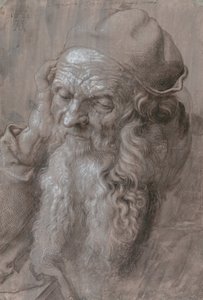 Kopf eines alten Mannes von Albrecht Dürer