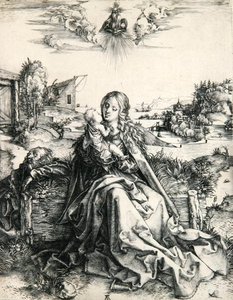 Madonna mit einer Libelle von Albrecht Dürer