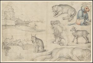 Skizzen von Tieren und Landschaften von Albrecht Dürer