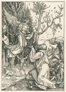 Der Engel bringt Joachim die Botschaft, um 1504 von Albrecht Dürer or Duerer