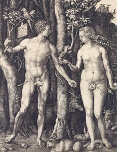 Der Sündenfall von Albrecht Dürer von Albrecht Dürer