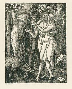 Der Sündenfall von Albrecht Dürer or Duerer
