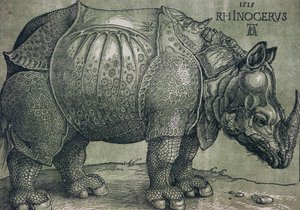 Das Nashorn, 1515 von Albrecht Dürer