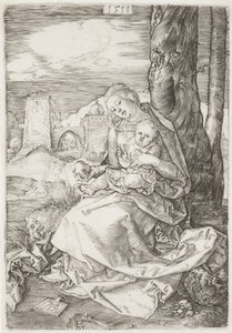 Die Jungfrau und das Kind mit der Birne von Albrecht Dürer